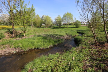 Gewässerentwicklung Mühlbach