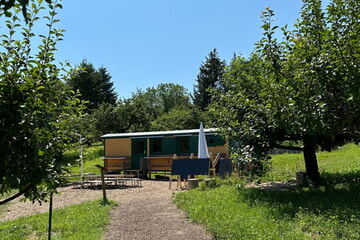 Naturkindergarten Wiesenklecks - Familien in Kirchheim