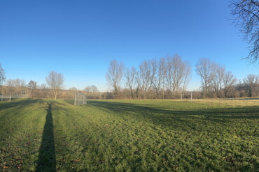 Rasensportplatz am Neckar